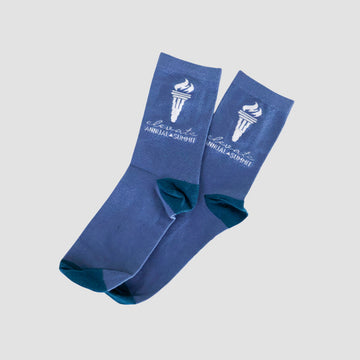 CR-173 | Socks- Coastal Ridge